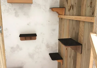 Dormitório Ap 1 e 2 Cat Village