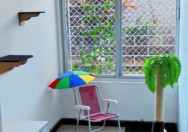 Quarto Cat Beach