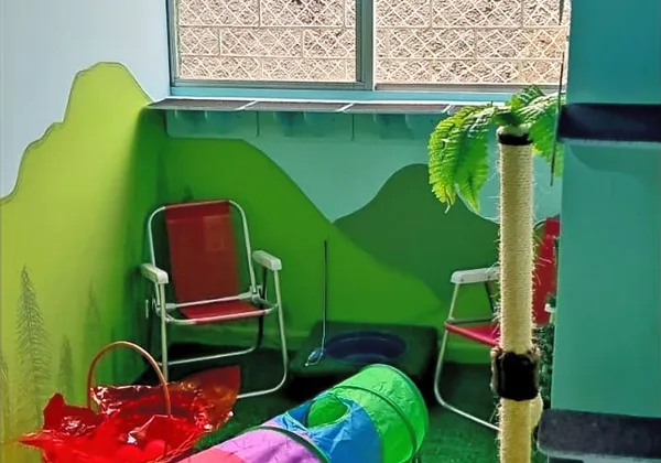 Quarto Cat Camp