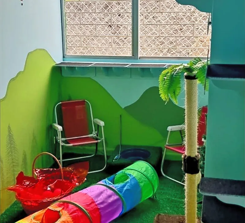 Quarto Cat Camp
