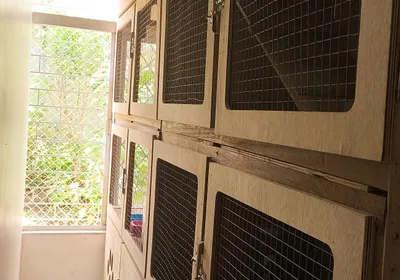 Dormitório Cat Hostel