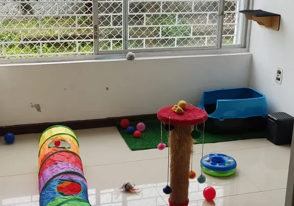 Quarto Cat Paradise