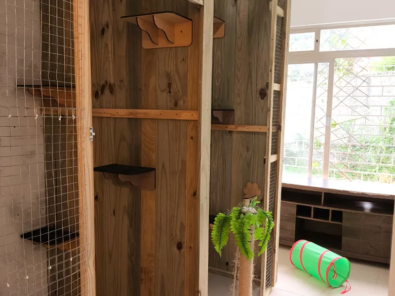 Cat Village — foto 1