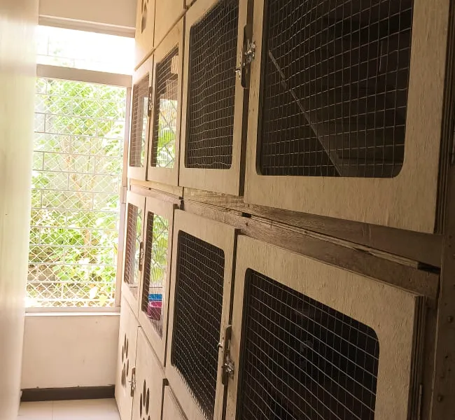 Cat Hostel — foto 1