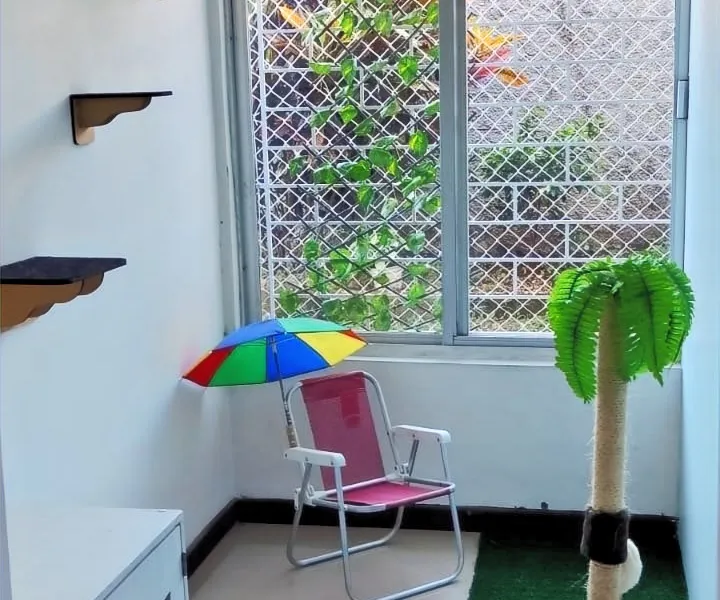 Cat Beach — foto 1