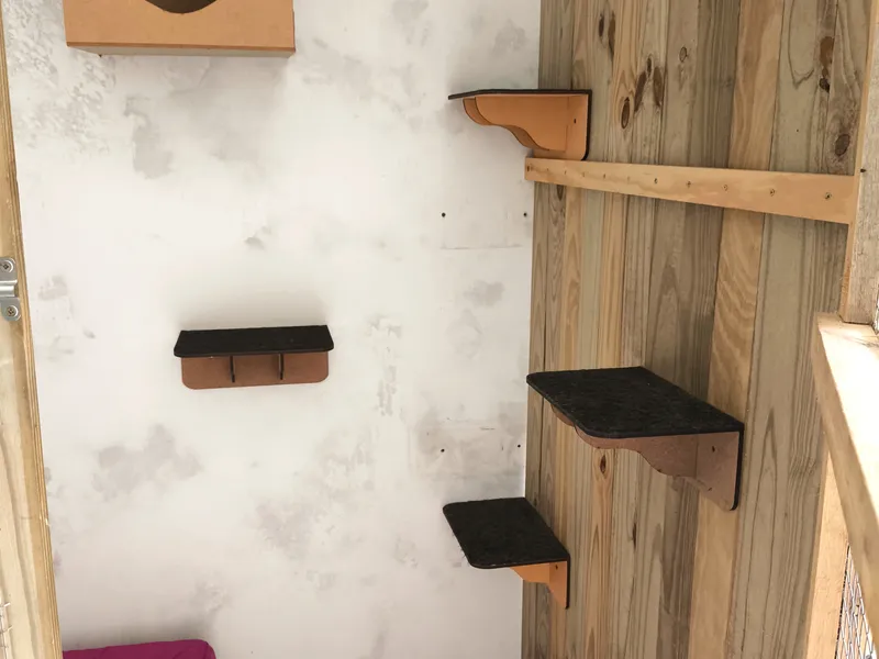 Ap 1 e 2 Cat Village — foto 1