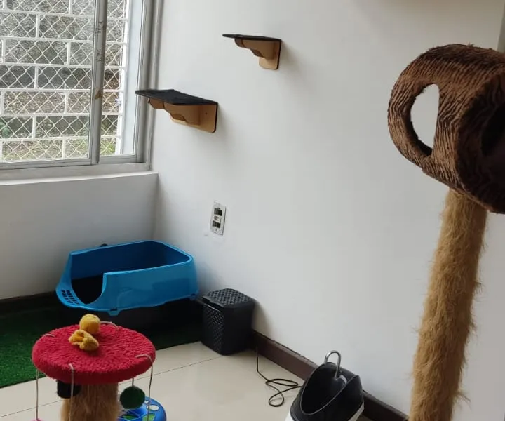 Cat Paradise — foto 2