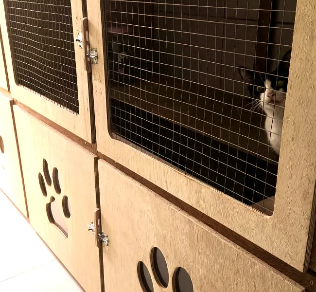 Cat Hostel — foto 2