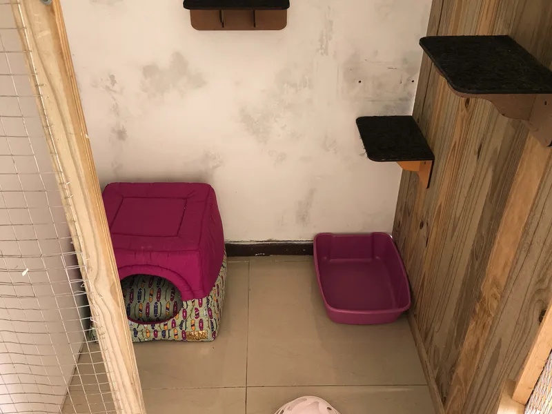 Ap 1 e 2 Cat Village — foto 2