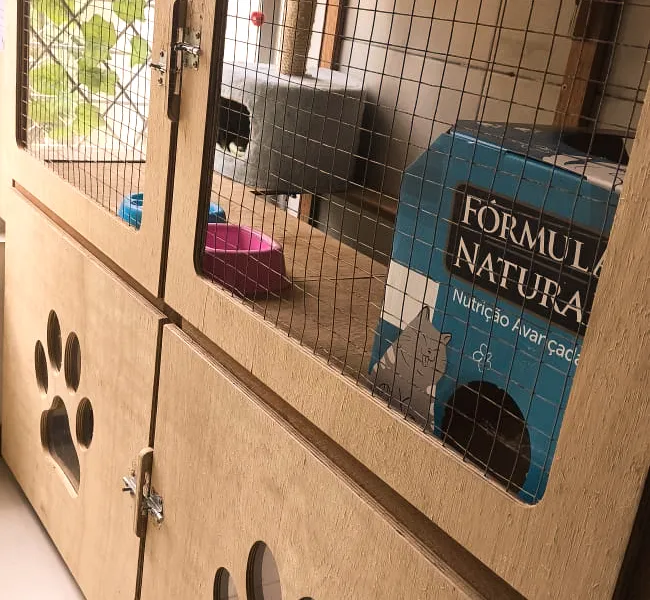 Cat Hostel — foto 3