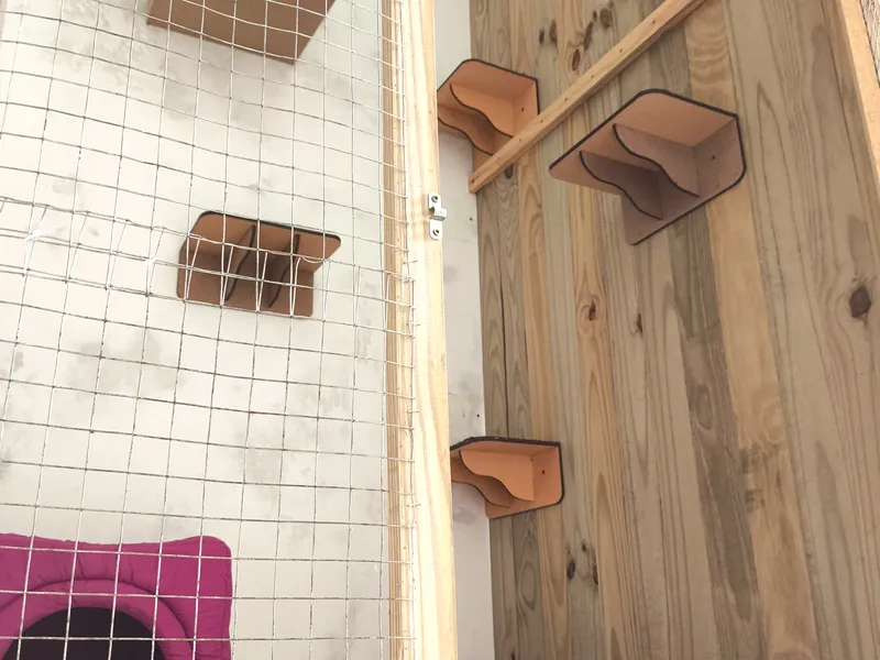Ap 1 e 2 Cat Village — foto 4