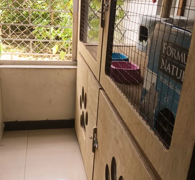 Cat Hostel — foto 4