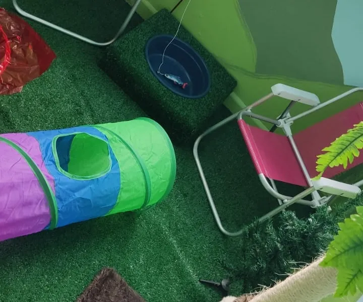 Cat Camp — foto 5