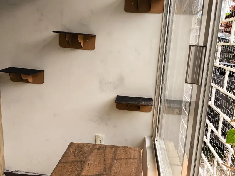 Ap 3 Cat Village — foto 5