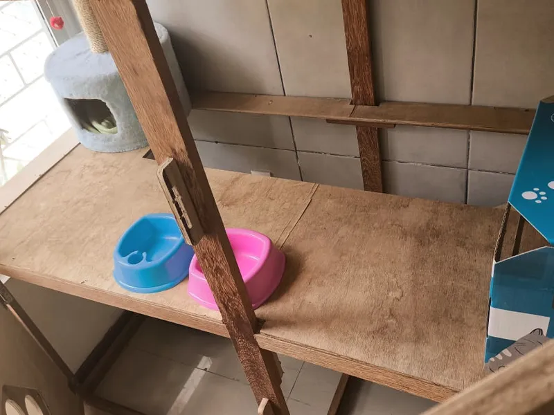 Cat Hostel — foto 5