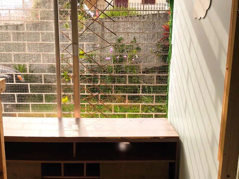 Cat Village — foto 5