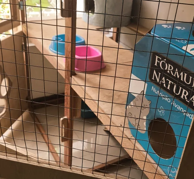 Cat Hostel — foto 6