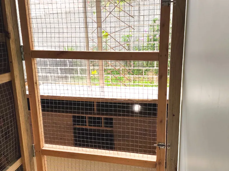 Ap 3 Cat Village — foto 6