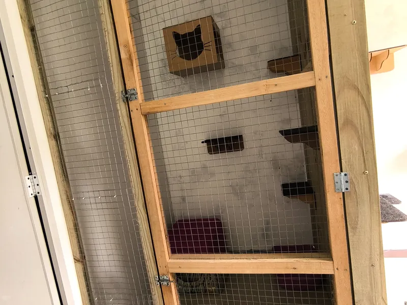 Ap 1 e 2 Cat Village — foto 6