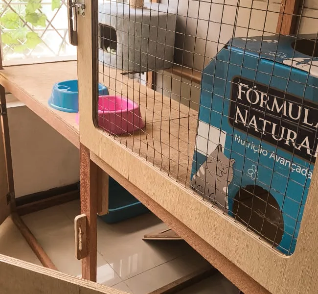 Cat Hostel — foto 7