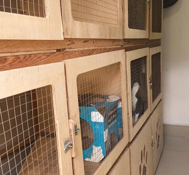 Cat Hostel — foto 8